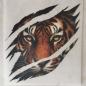 Preview: Bügelbild Scratched Tiger