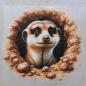 Preview: Bügelbild Erdmännchen Höhle
