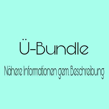 Bügelbild-Bundle Überraschung