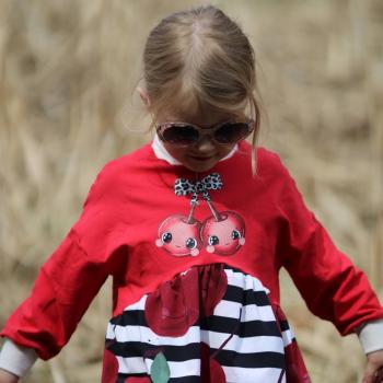 Preview: Bügelbild süßes Leo-Kirschenduo