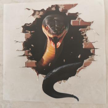 Bügelbild schwarze Schlange Mauerloch