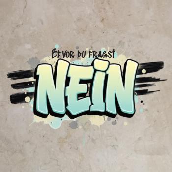 Bügelbild Schriftzug Nein