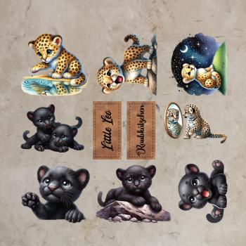 Bügelbild-Bundle Raubkätzchen