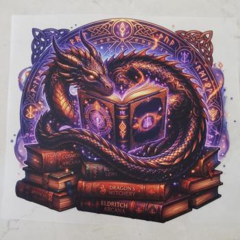 Bügelbild Bücherdrache lila