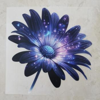 Bügelbild Galaxy-Margerite