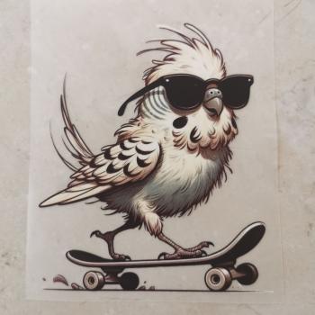Bügelbild cooler Wellensittich Skateboard