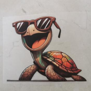 Bügelbild coole Schildi Sonnenbrille