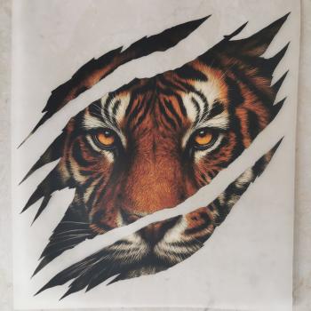 Bügelbild Scratched Tiger