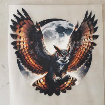 Bügelbild Eule fliegend