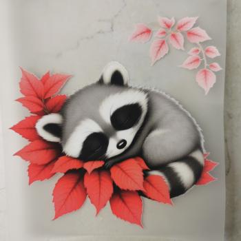 Bügelbild schlafender Waschbär Weihnachtsstern