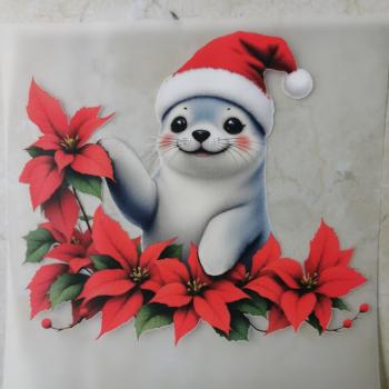 Bügelbild neugierige Robbe Weihnachtsstern