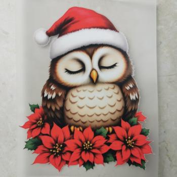 Bügelbild schlafende Eule Weihnachtsstern (braun)