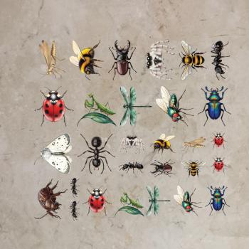 Bügelbild-Bundle Käfer-Minis