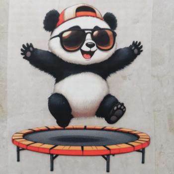 Bügelbild Trampolinpanda süß