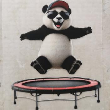 Bügelbild Trampolinpanda cool
