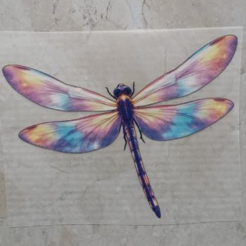 Bügelbild zauberhafte Libelle