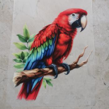 Bügelbild Papagei rot