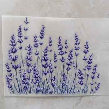 Bügelbild Lavendel