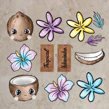 Bügelbild-Bundle Kokosnuss