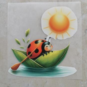 Bügelbild Sommer-Marienkäfer Blattboot