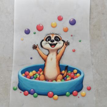 Bügelbild Erdmännchen im Bällebad