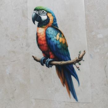 Bügelbild Papagei sitzend