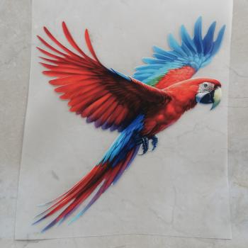 Bügelbild roter Papagei fliegend