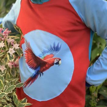 Bügelbild roter Papagei fliegend