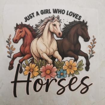 Bügelbild Just a Girl Horses bunt