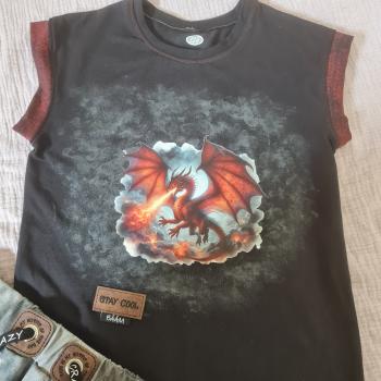 Preview: Bügelbild Elementdrache Feuer