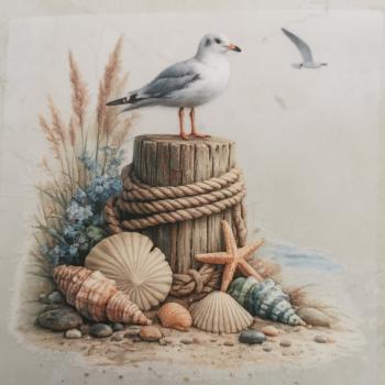 Bügelbild Möwe am Strand