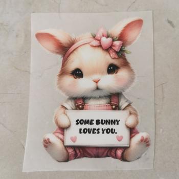 Bügelbild Schleifenhase Schild