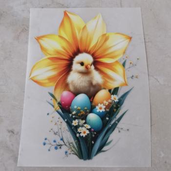 Bügelbild Osterglocke Küken