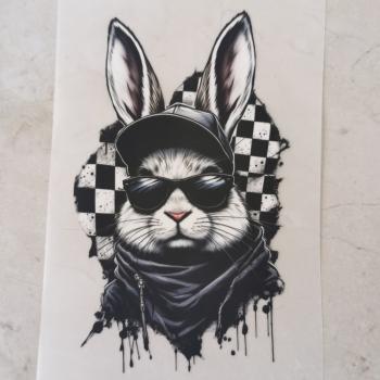 Bügelbild Splash-Hase Karo