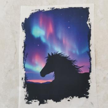 Bügelbild Pferdekopf vor Polarlichter