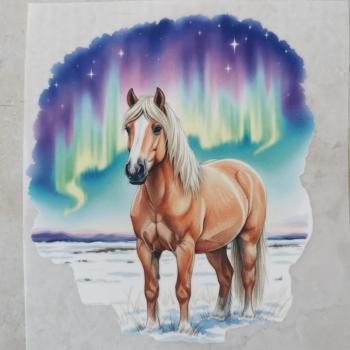 Bügelbild Isländer vor Polarlichter