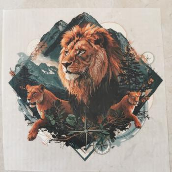 Bügelbild Löwen Gebirge
