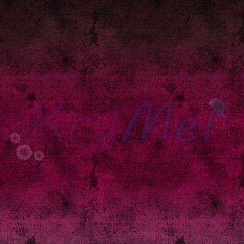 French Terry Verlaufsdenim Beere