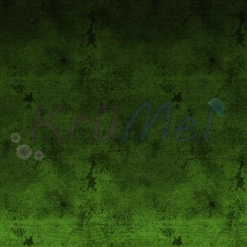 French Terry Verlaufsdenim Grün