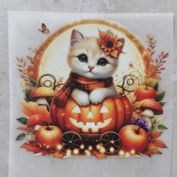 Bügelbild Herbstkatze Kürbis hell