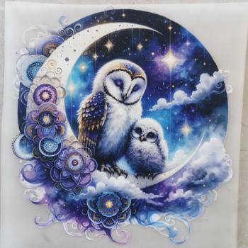 Bügelbild traumhaftes Eulenduo