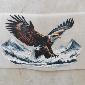 Bügelbild Weißkopfadler landend