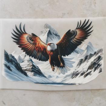 Bügelbild Weißkopfadler fliegend