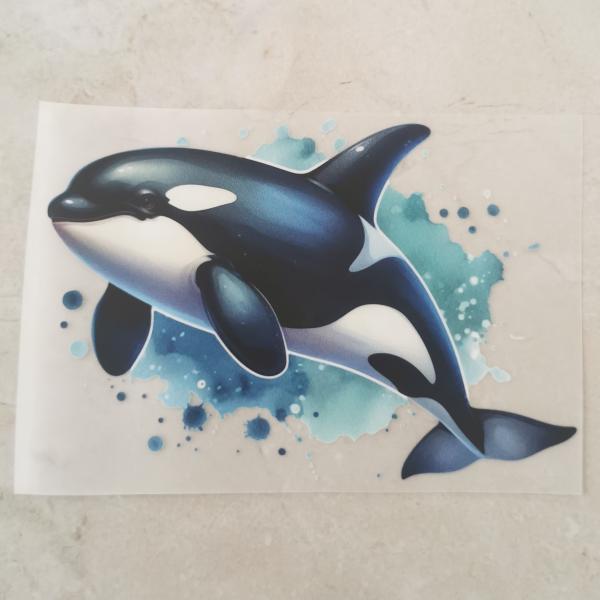 Bügelbild süßer Schwertwal