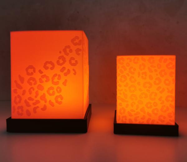 Dekoration-Set Leo-Lichter