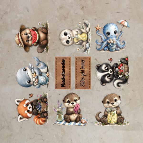 Bügelbild-Bundle Muschelsammler