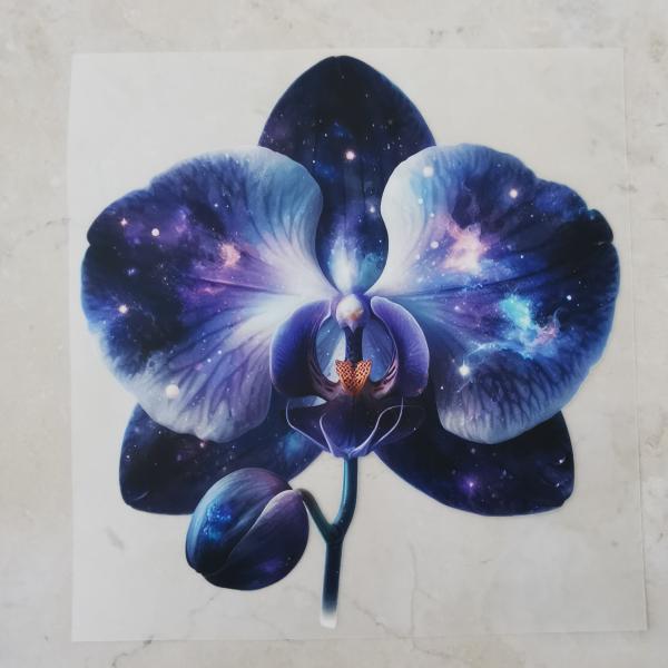 Bügelbild Galaxy-Orchidee