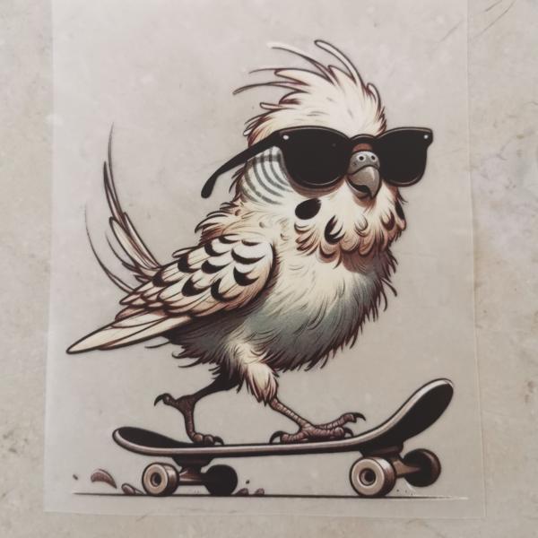 Bügelbild cooler Wellensittich Skateboard