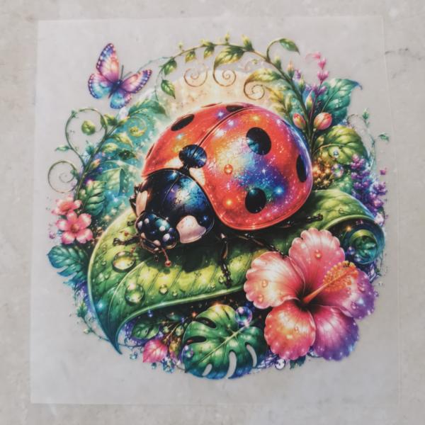 Bügelbild traumhafter Marienkäfer