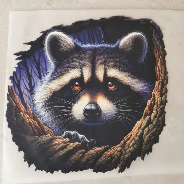 Bügelbild Waschbär Baumhöhle